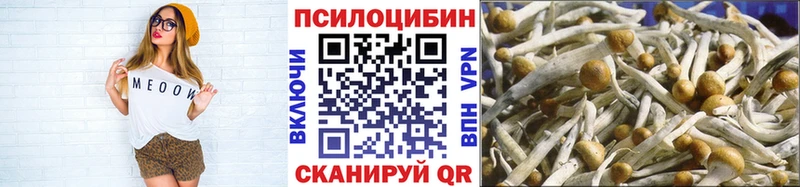 mega   цена   Сурск  Галлюциногенные грибы прущие грибы 